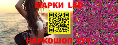 apvp Ливны